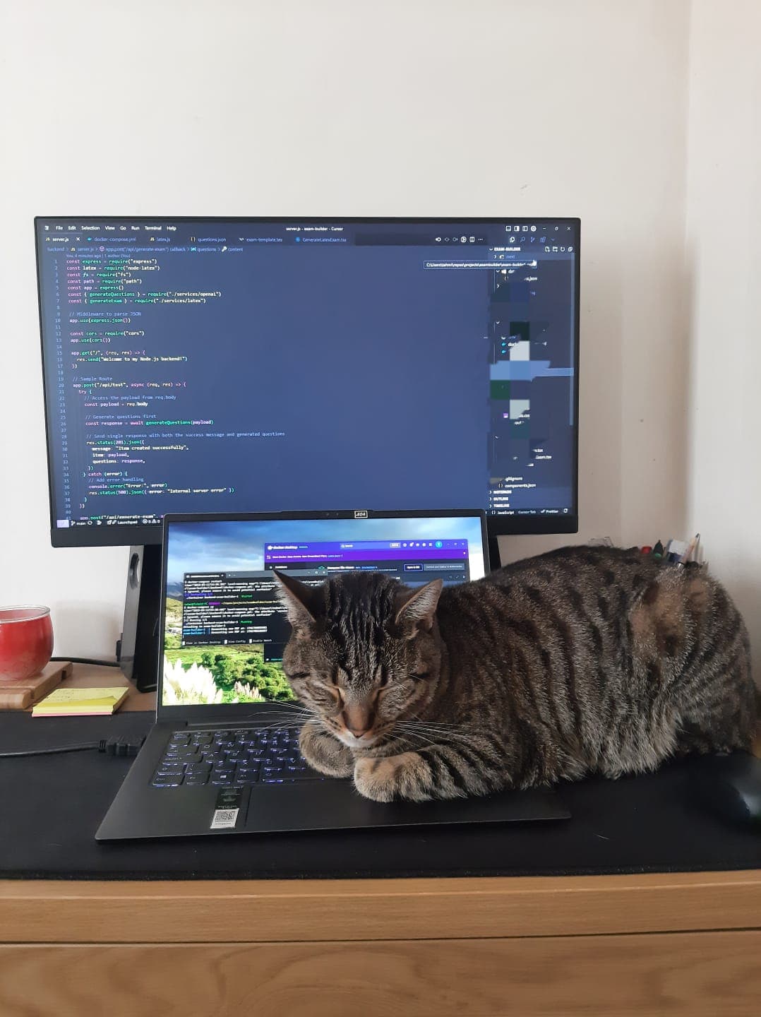 my cat sleeping on my laptop